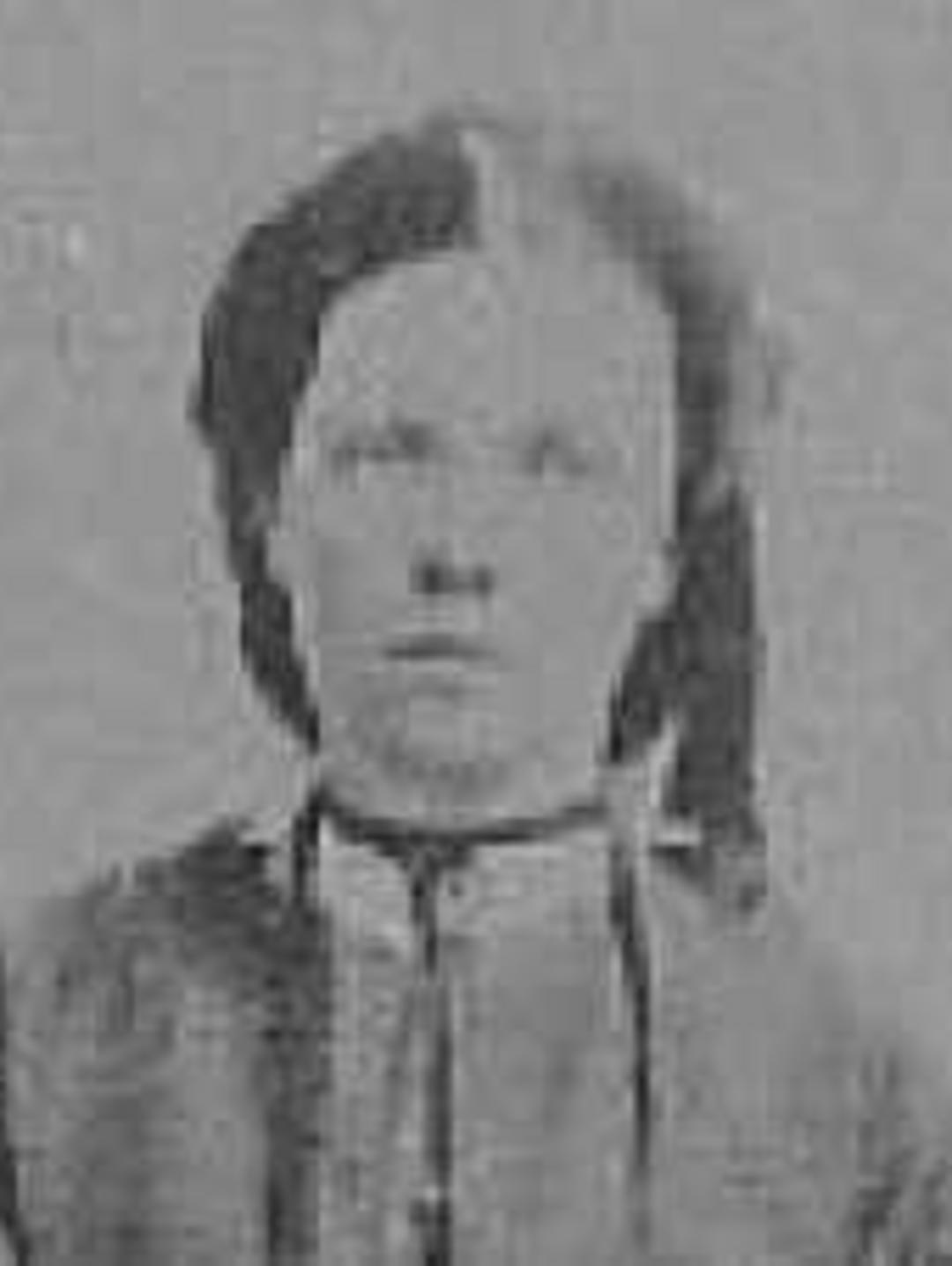 Elizabeth Ann Mears (1833 - 1901) Profile